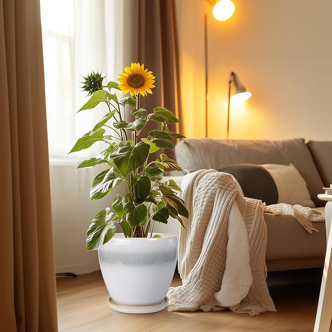 Ceramic Planter - Image 2