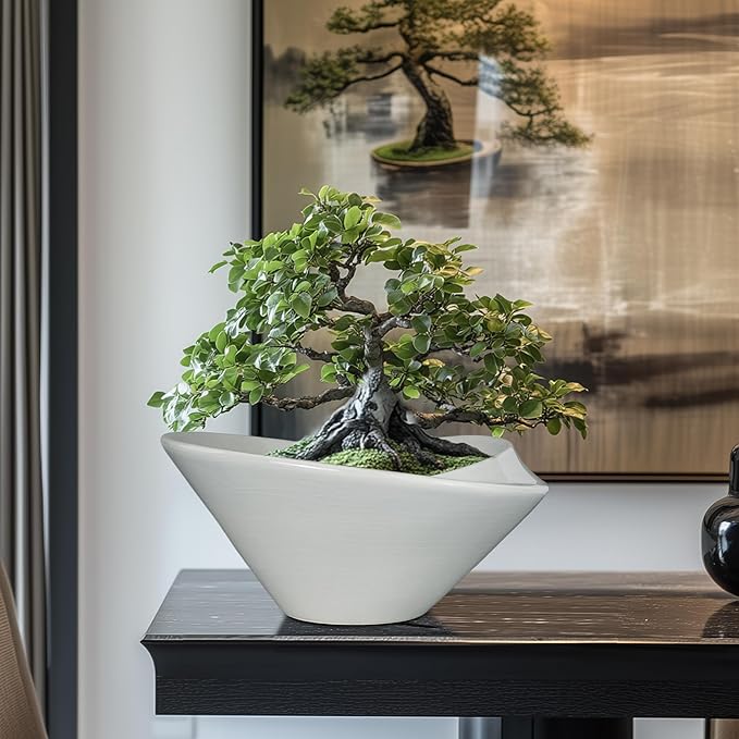 Bonsai Pots 13 Inch - Image 8