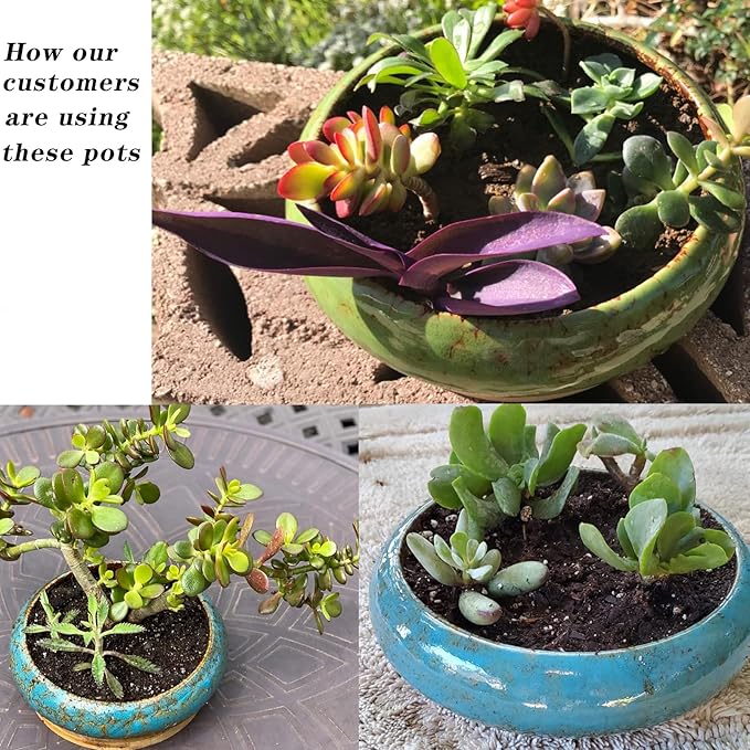ARTKETTY Succulent Pot, 10 Inch Large Succulent Planter Pot - Image 5