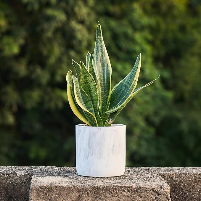 Ekirlin 6 Inch Resin Plant Pot Indoor - Image 2