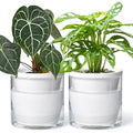 D'vine Dev 6 Inch Design Self Watering Planter by DvineDevPlanterPotsandStand
