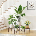 5-Pack Heavy Duty Flower Pot Stands Holder by Unknown