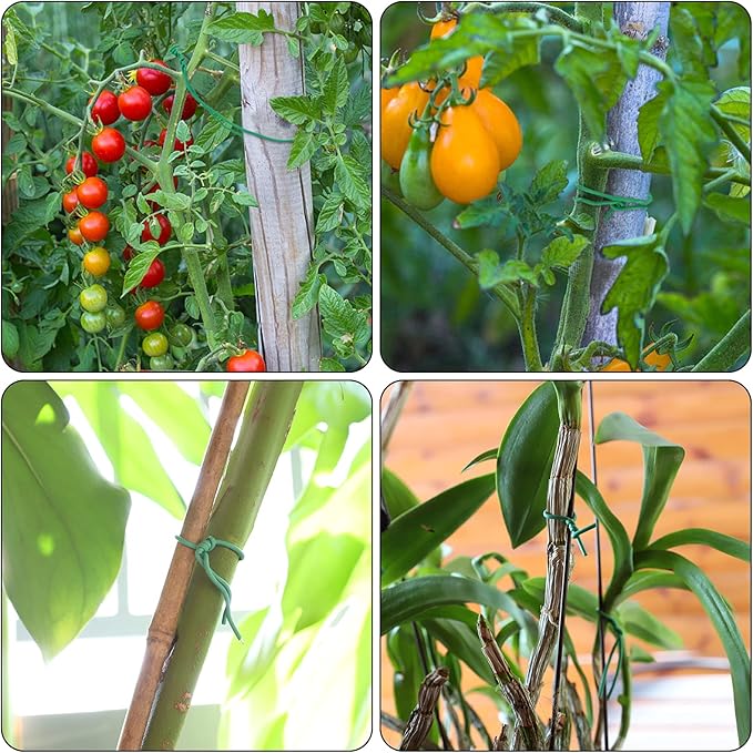 YDSL 100 Feet Soft Tie for Plants, Vegetables - Image 2