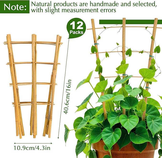 Bamboo Trellis - Image 2