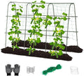 Lalahoni Cucumber Trellis, 65x48 inch Garden Trellis by Thereasonyoulovegardening