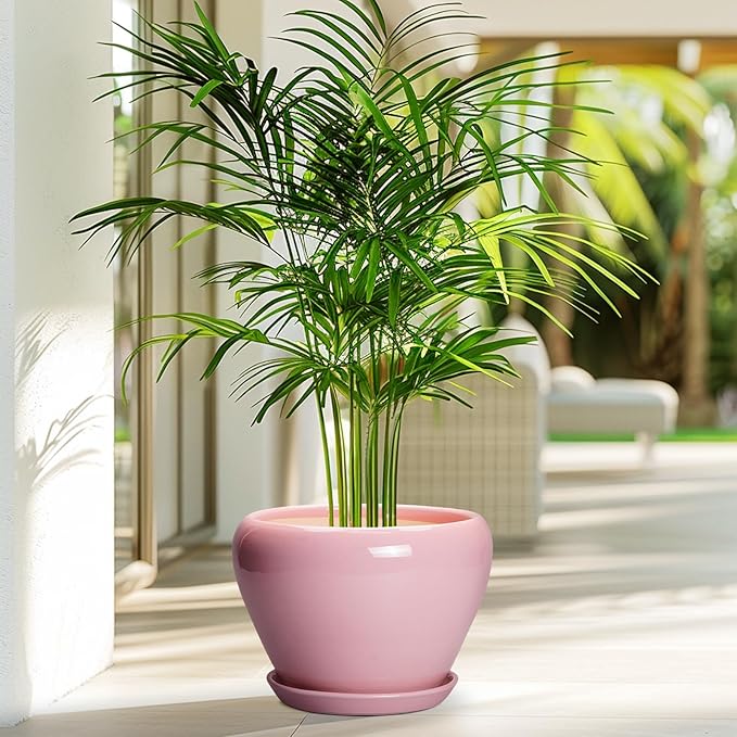 Ceramic Modern Glaze Succulent Planter Pot - Image 4