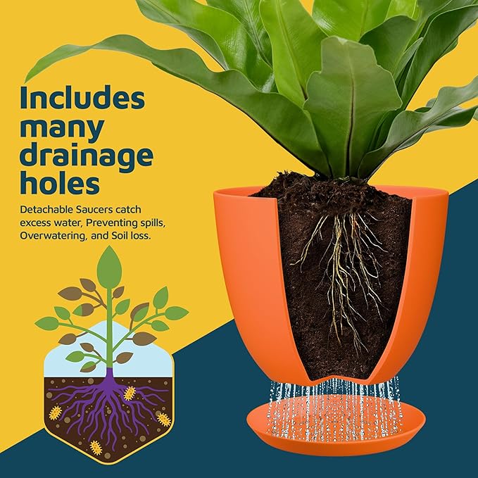 Yellow Plant Pots with Drainage Holes & Saucers 5 Pack, Indoor & Outdoor - Image 6