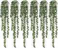 6 Pcs Artificial Succulents Hanging Plants, Fake String of Pearls Greenery by dallisten