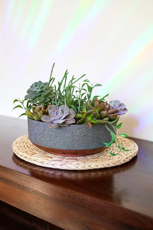 The HC Companies 8 Inch Round Plastic Succulent Capri Bowl Decorative Indoor - Image 3