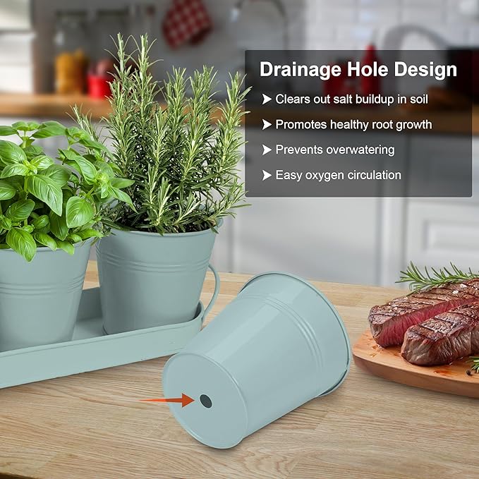 Herb Garden Planter Indoor Kit – 6 Metal Pots - Image 4