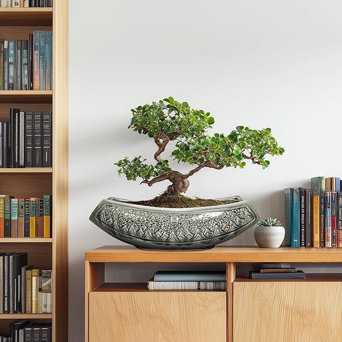 Bonsai Pots 18 Inch - Image 3