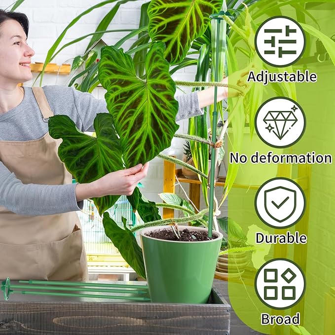 Extendable Plant Stakes, Adjustable Length from 14.3IN to 25IN Monstera Support - Image 6