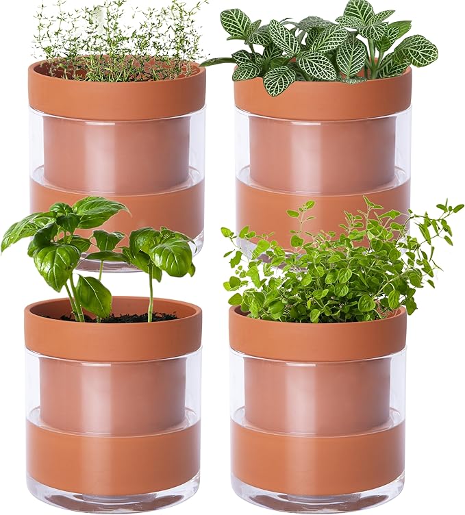 Phoenix Vine 4 Inch Self Watering Planter Pot, Terracotta Clay Pot by Phoenix+Vine