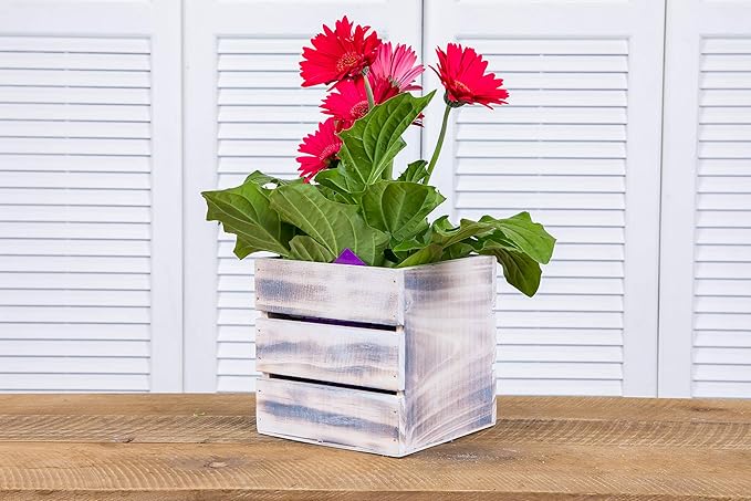 Wood Planter Box with Wine Crate Styled, 5 Inch Square, Plastic Liner, Garden - Image 4