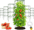 Tomato Cage Square by K-BRANDS