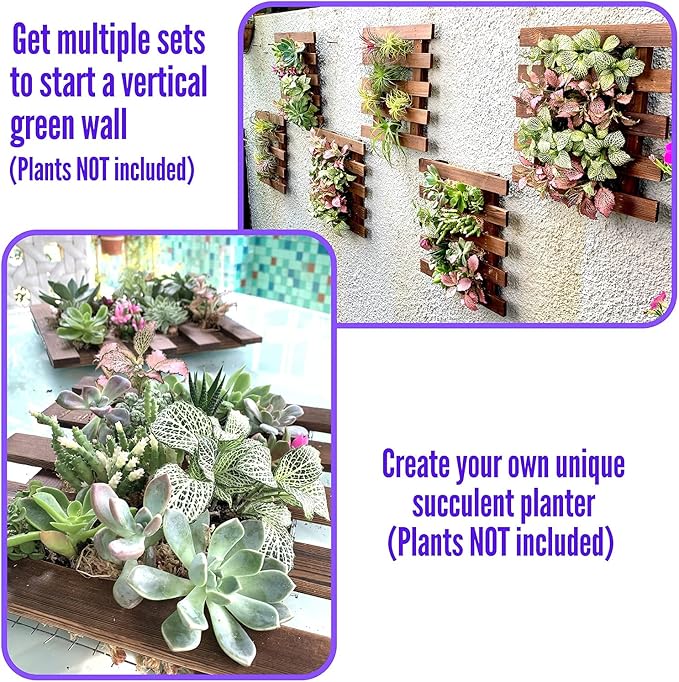 ShopLaLa Wall Planter - Image 5