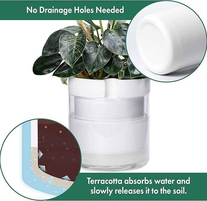 Phoenix Vine 10 Inch Self Watering Planter - Image 5