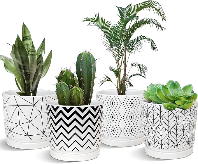 Ton Sin Plant Pots, 5.5 Inch White Pots by TonSin