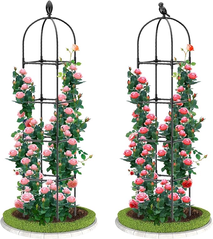 2 Pack Garden Obelisk Trellis, Metal Covered Plastic Coating Rustproof Heavy by Laodier