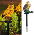 Dazzle Bright 1 Pack Owl Figure Solar LED Lights, Resin Garden Waterproof by DazzleBright