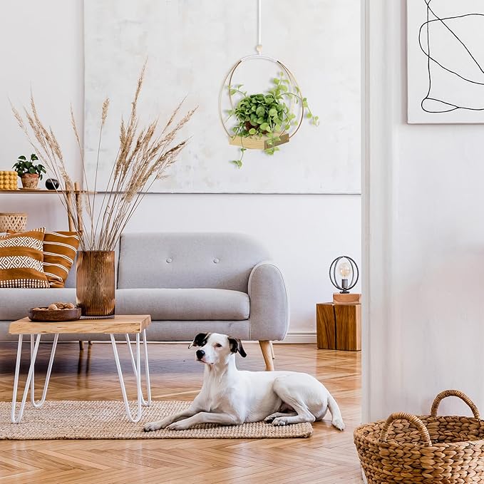 Hanging Planters for Indoor Plants - Image 6