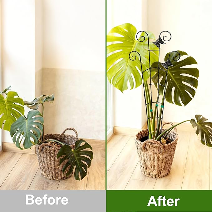 COOMIN 30'' Monstera Plant Support Outdoor, Metal Expandable Plant Supports - Image 4