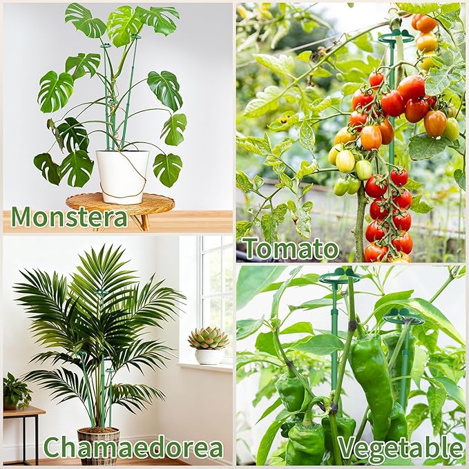 Extendable Plant Stakes, Adjustable Length from 17.9IN to 42.3IN Monstera - Image 5