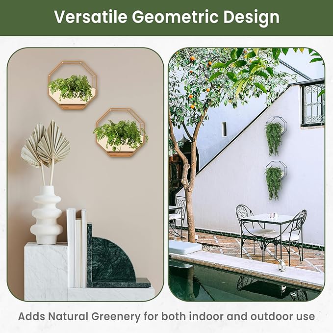 IRYL Wall Planter for Indoor Plants - Image 5