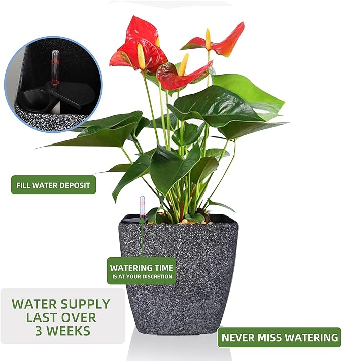 Dexceder 13x12 Self Watering Planter - Image 5