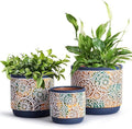 DeeCoo 3 Piece Ceramic Plant pots Indoor Pots Set by DeeCoo