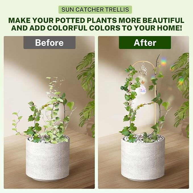 Small Trellis for Potted Plants Indoor - Image 6