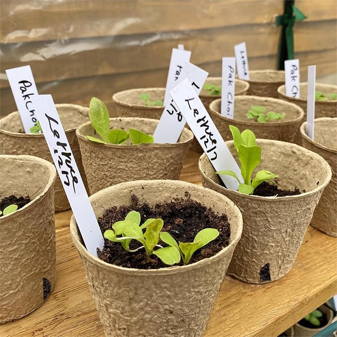 Dalzom® 60Pcs 3.1” Peat Pots - Image 6