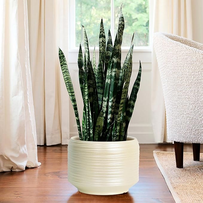 10 Inch Ceramic Plant Pot with Drainage – Large Flower Pot - Image 7