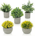 Fake Plants, 5 Pack Artificial Eucalyptus & Greenery in Cement Pots by Unknown
