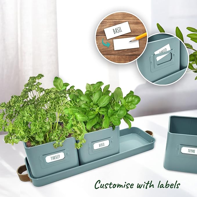 volila Herb Planter Indoor - Image 3