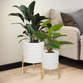 ARNIS Modern Planter Pots, Decorative Planters, Metal Pots by ARNIS