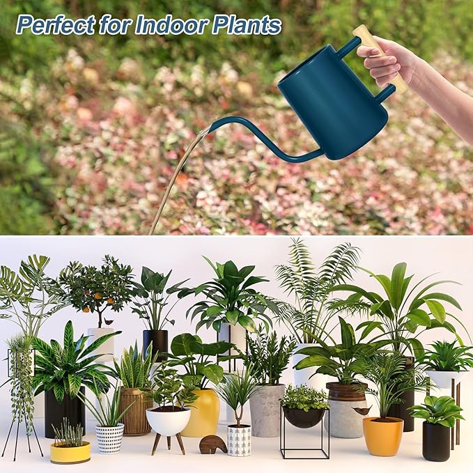 Watering Can Indoor Plants, 35 oz/1000 ml Metal Stainless Steel Watering Can Pot - Image 7