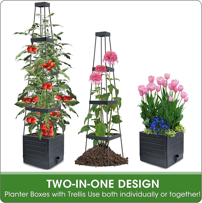 MQFORU 2 Packs Raised Garden Bed Tomato Planter - Image 6