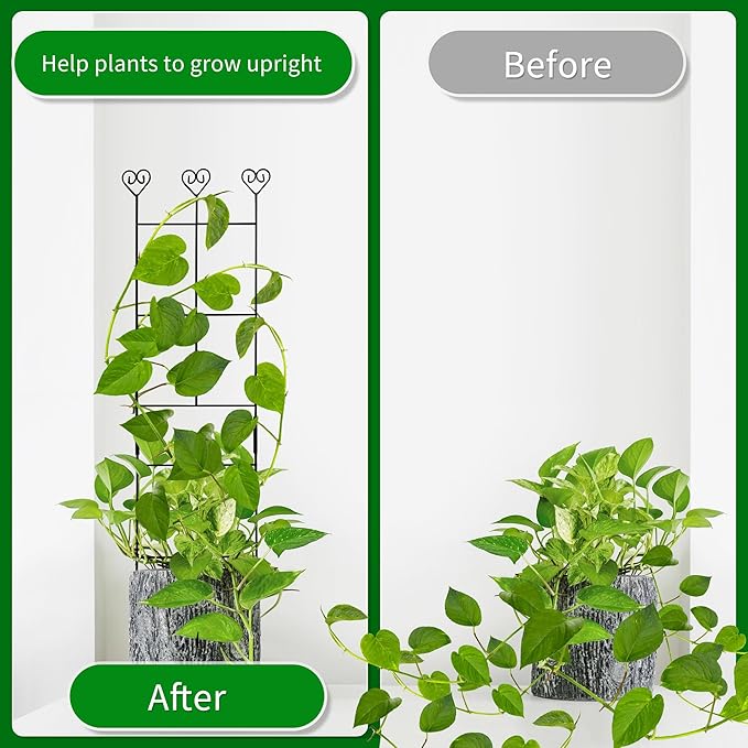 2 Pack 30'' Plant Trellis for Climbing Plants Indoors, Metal Garden Trellis for - Image 2
