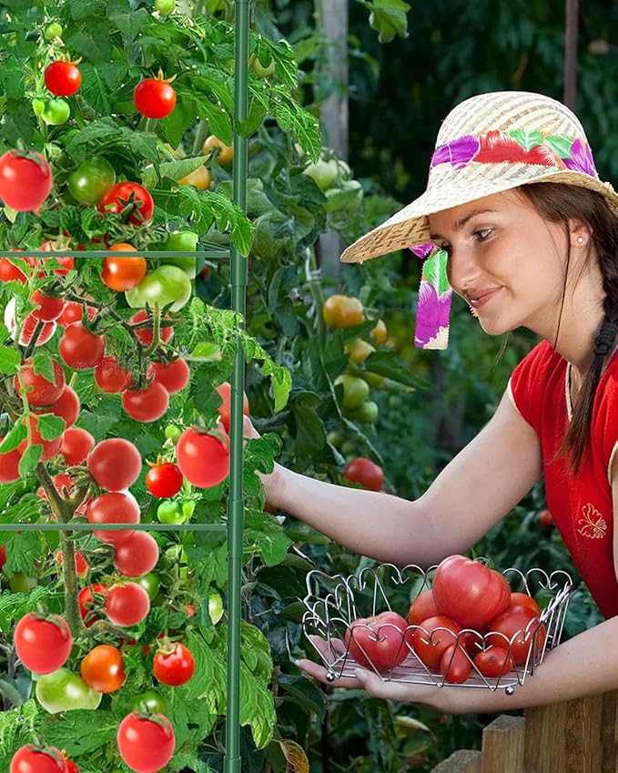 3 Pack Tomato Cages for Garden, 51in*13in Adjustable Tomatoes Plant Stakes - Image 9