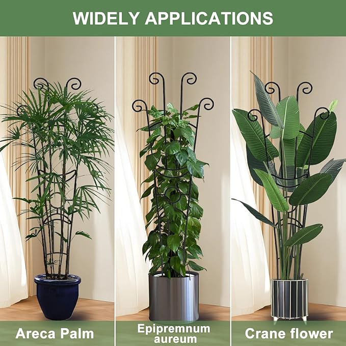 32.6in Monstera Plant Support Stakes - Image 4