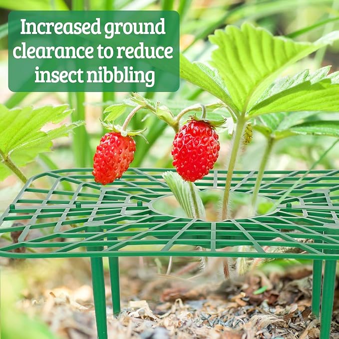 4 Sets Strawberry Plant Supports - Image 6