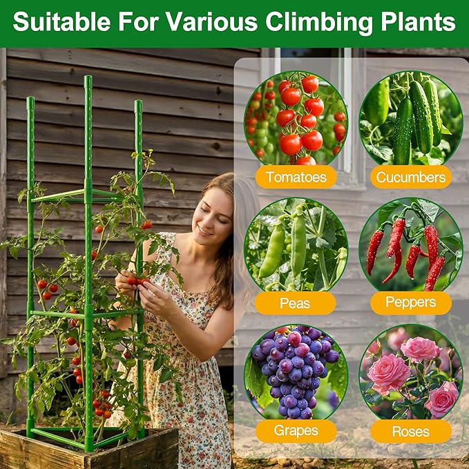 WAENLIR 3-Pack Tomato Cage for Garden, Plant Stakes for Pots, Durable Tomato - Image 8