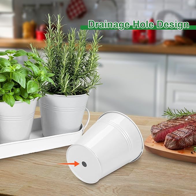 Herb Garden Planter Indoor Kit – 6 Metal Pots - Image 3