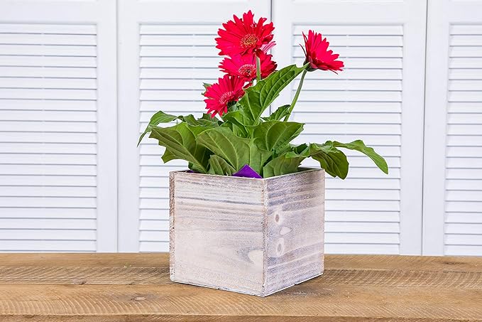 Wooden Planter Box, Rustic Whitewash - Image 6