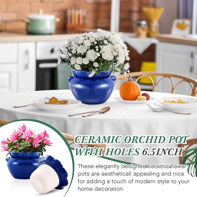 4 Sets African Violet Pots 6 Inch Self Watering Pot - Image 5