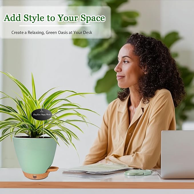 6 Inch Self Watering Pots for Indoor Plants – Small Plastic Planters - Image 4