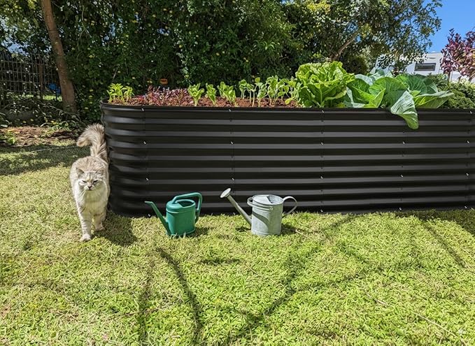 Plant & Plot Galvanized Raised Garden Beds Outdoor // 8×2×2 ft Planter Raised - Image 6