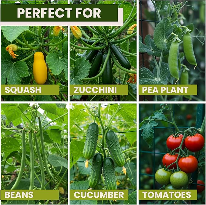 50x50 Cucumber Trellis for Raised Bed - Image 8