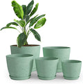 Utopia Home - Spotty Plant Pots Indoor - 7/6.6/6/5.3/4.8 Inches Flower Pots - 5 by UTOPIAHOME